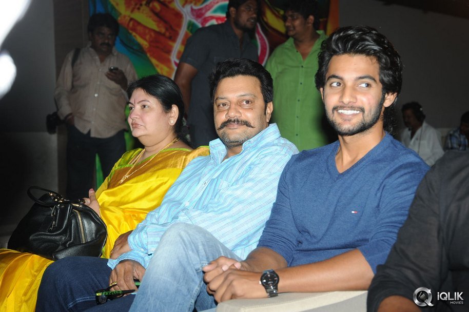 Gaddam-Gang-Movie-Audio-Launch